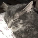 Dorothy Huff-Kell - @honesty1241 - Instagram