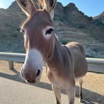 Dorothy Hurst - @dorothyhurst13 - Instagram