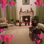 Dorothy Logan - @dorothylogan9596 - Instagram