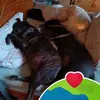 Dorothy Lowe - @dorothy.lowe7 - TikTok