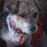Dorothy Marsh - @dorothymarsh1948 - Instagram