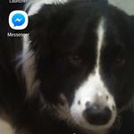 Dorothy McCarthy - @dorothy.mccarthy.507 - Instagram