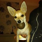 Dorothy Meadows - @dorothy.meadows.77 - Instagram