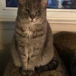 Dorothy Meyer - @dorothymm.3 - Instagram