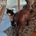 Dorothy Murphy - Facebook