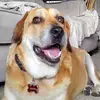 Dorothy O'Brien - @dorothy.obrien5 - TikTok