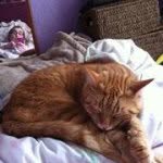 Dorothy Oconnor - @dorothyann9682 - Instagram
