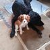 Dotty O'Neill - Facebook
