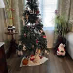 Dorothy Page - @dorothypage049 - Instagram