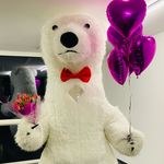 DoryBÄR 𝐅𝐫𝐚𝐧𝐤𝐟𝐮𝐫𝐭 - @dorybearfrankfurt - Instagram