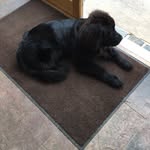 Dorothy - @dotbyrne123 - Instagram