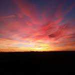Dot Carr - @dotcarr61 - Instagram