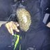PDot Carter - Facebook