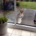 Dot Clark - Facebook