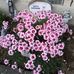 Dot Clark - Facebook