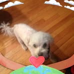 Dot Cobb - Facebook