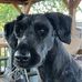 Dot Cole - Facebook
