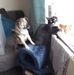 Dot Cole - Facebook