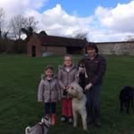 Dot Collins - @dotcollins - Instagram