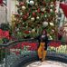 Dorothy Conner - Facebook