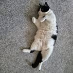 Dot Cooper - @dotc2320 - Instagram