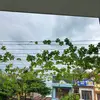 Dot Cooper - @dot.cooper0 - TikTok