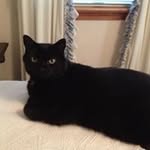 Dot Cooper Harrell - @dotharrell - Instagram
