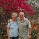 Dorothy Coxwell - @dotcoxwell - Instagram