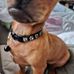Dorothy Dawson - Facebook