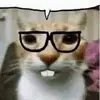 idotdennis - @iidotdennis - TikTok