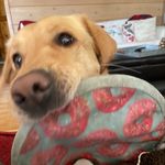 Dot - @dot_dot_douglas - Instagram