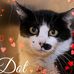 Dot Douglas - Facebook