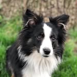 Mickey Doyle - @mickeydotdoyle - Instagram