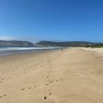Dot Haddad Elliott - @haddadelliott - Instagram