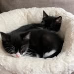 Dotty & Buddy Ellis - @dot_and_buddy - Instagram