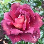 dot evans - @dotevans2 - Instagram