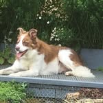 Dot Farmer - @dotfarmer8 - Instagram