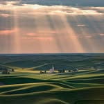 farmer dot. - @dot.farmer - Instagram