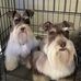Dot Fowler - Facebook