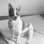 Dot Francis - Facebook