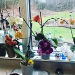 Dot Francis - Facebook