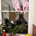 Dot Francis - Facebook