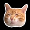 Dota2_Francis - @dota2my - TikTok
