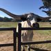 Dot Franklin - Facebook