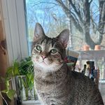 franklin josephine - @franklinjodotcom - Instagram