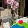 dotgarcia4 - @dotgarcia4 - TikTok