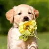 dotgeedjvjuddf48571906 - @dotgeedjvjuddf48571906 - TikTok
