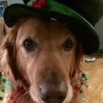 Dot George - Facebook