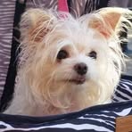 Dot Graham - Facebook