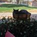 Dot Green - Facebook
